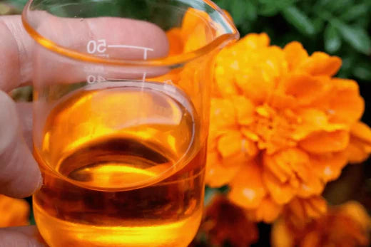 Skin Relief Serum golden in beaker with orange flowers, Go Native NZ recipe as seen on Seven Sharp