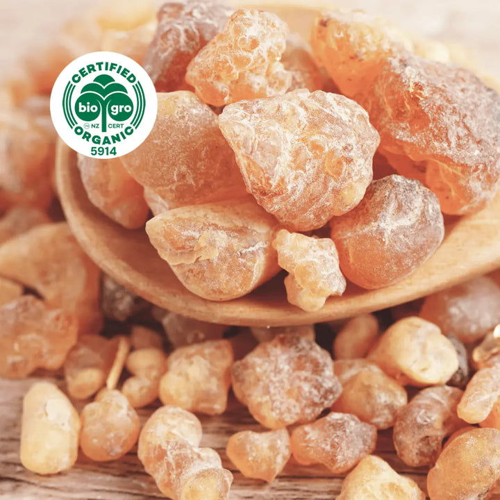Amber coloured sap nuggets Raw ingredients to make Frankincense Essential oil with Go Native NZ Biogro certified organic icon