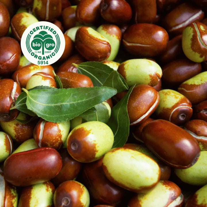 brown and green jojoba seed pods clustered together in the sun with bio gro Certified Organic icon to verify Go Native New Zealand's organic certification for jojoba carrier oil