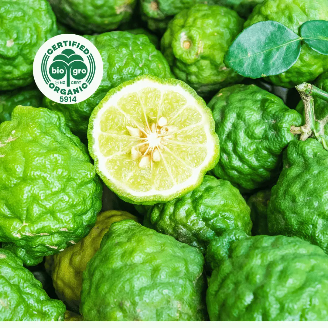 Go Native NZ detail many Beragmot Essential Oil with Bio Gro Icon verifying Certified Organic status