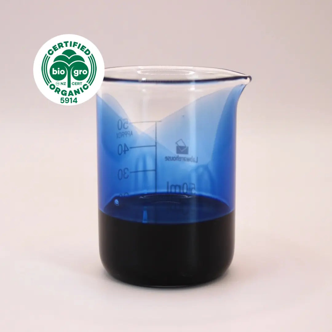 Stunning deep blue colour of german chamomile essential oil in a clear glass beaker with BioGro certified organic logo in top left corner to show certified organic products from go native new zealand