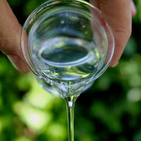 Coco glucoside - Palm Free