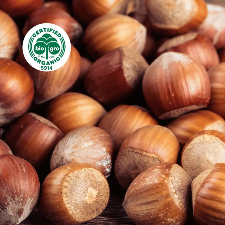 pile on hazelnuts in the sun with bio gro Certified Organic icon to verify Go Native New Zealand's organic certification for hazelnut carrier oil