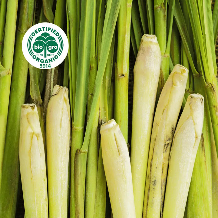 Lemongrass stalks and stems leaves  laid flat ingredient to make Go Native NZ Essential Oil with Bio Gro Icon 5194 to verify Certified Organic