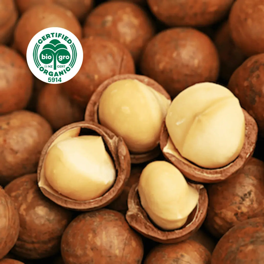 macadamia nuts in shells with four cracked open to reveal raw nuts inside with bio gro Certified Organic icon to verify Go Native New Zealand's organic certification for macadamia nut carrier oil