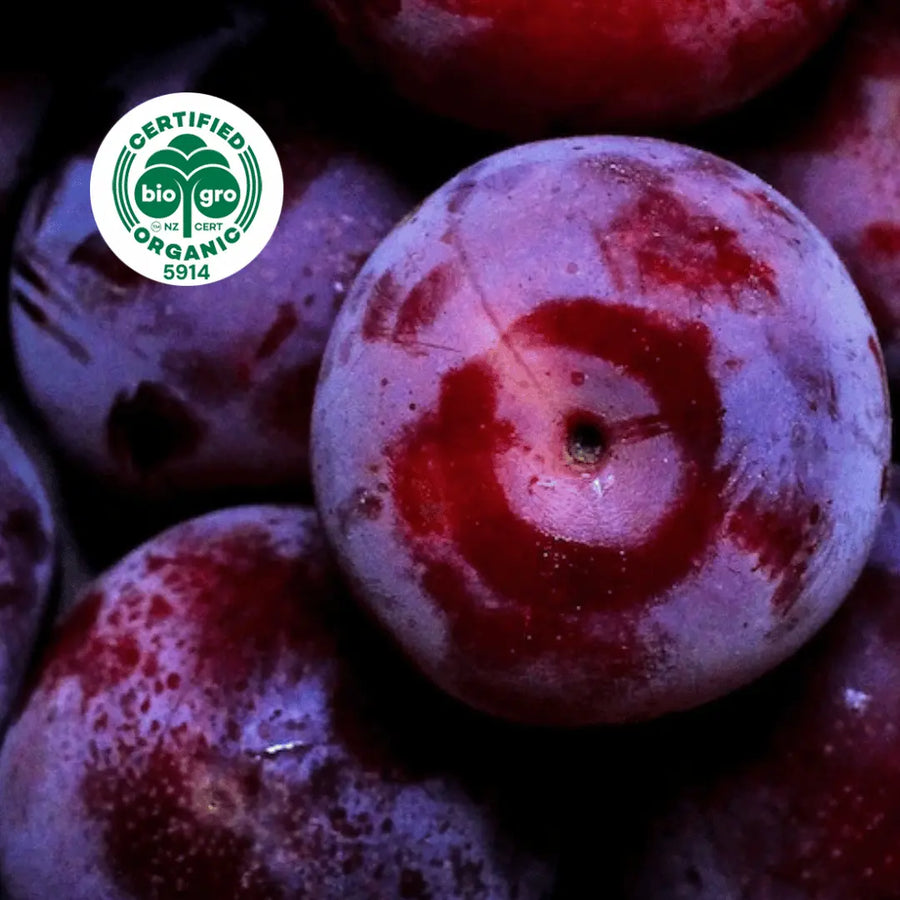 close up of ripe purple plums in a pile with bio gro Certified Organic icon to verify Go Native New Zealand's organic certification for plum kernel carrier oil