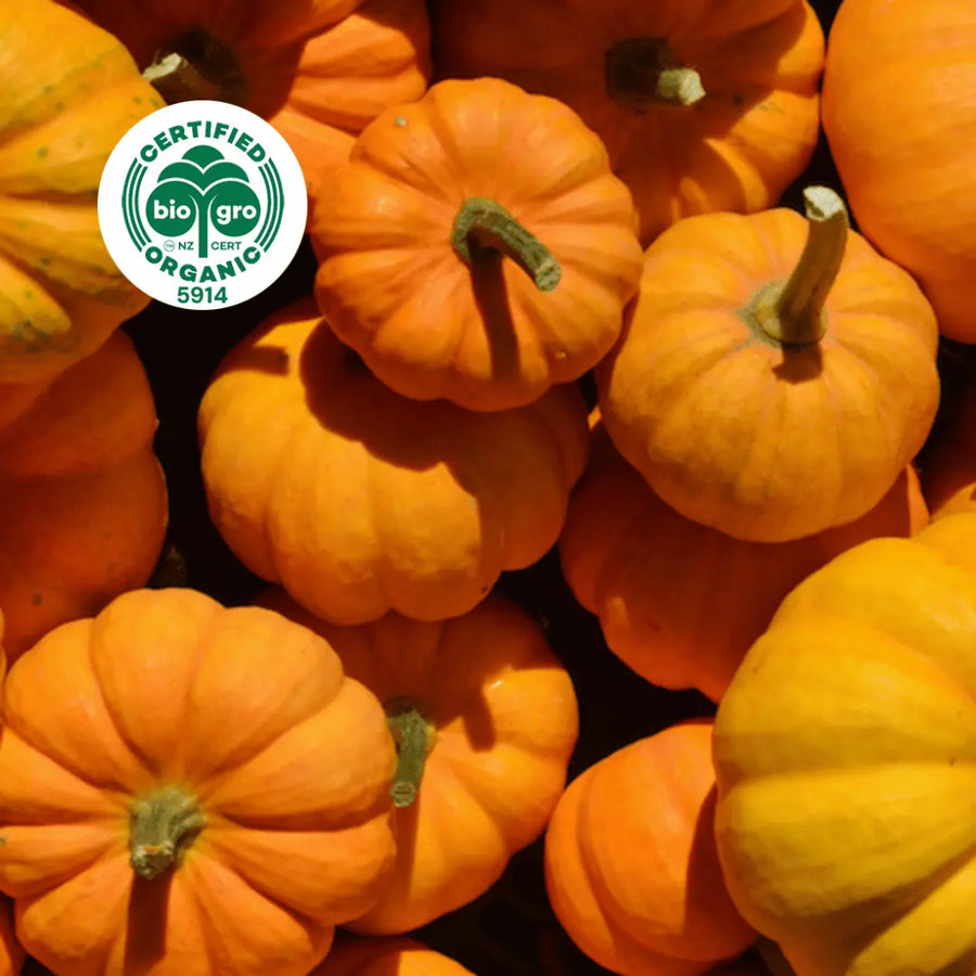 close up on a pile of orange pumpkins of different sizes with bio gro Certified Organic icon to verify Go Native New Zealand's organic certification for pumpkin seed carrier oil