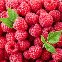 Raspberry seed oil