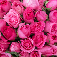 Rose natural perfume concentrate (Natco), Ecocert approved