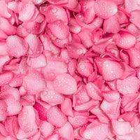Rose hydrosol, NZ, spray free