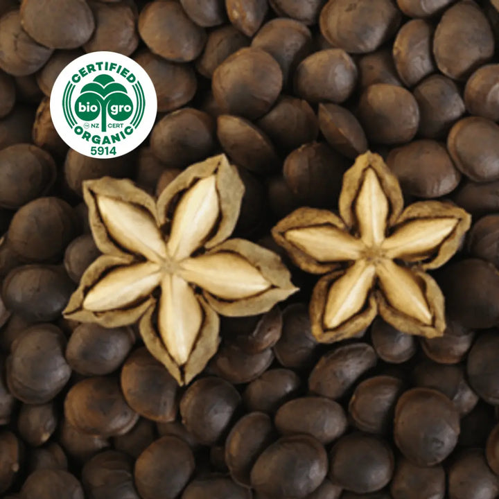 close up on the star-shaped seed pods of the sacha inchi plant with BioGro Certified Organic icon to verify Go Native New Zealand's organic certification for sacha inchi carrier oil