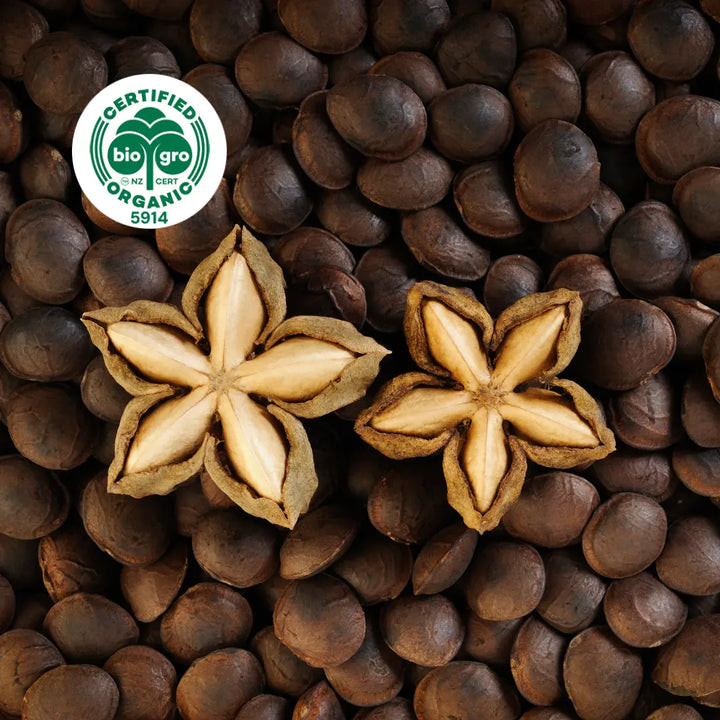 close up on the star-shaped seed pods of the sacha inchi plant with BioGro Certified Organic icon to verify Go Native New Zealand's organic certification for sacha inchi carrier oil