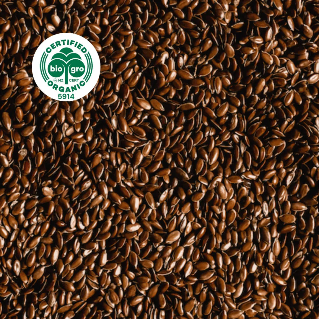 close up on small brown sea buckthorn seeds with light shining on them with BioGro Certified Organic icon to verify Go Native New Zealand's organic certification for sea buckthorn seed carrier oil