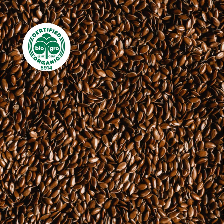 close up on small brown sea buckthorn seeds with light shining on them with BioGro Certified Organic icon to verify Go Native New Zealand's organic certification for sea buckthorn seed carrier oil