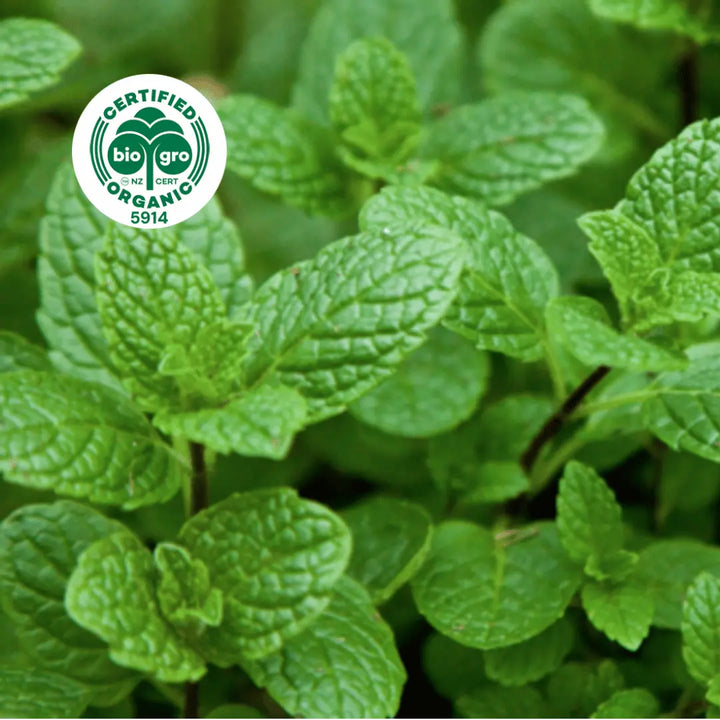 green spearming leaves used for Go Native NZ Essential Oil with Bio Gro Icon verifying Certified Organic