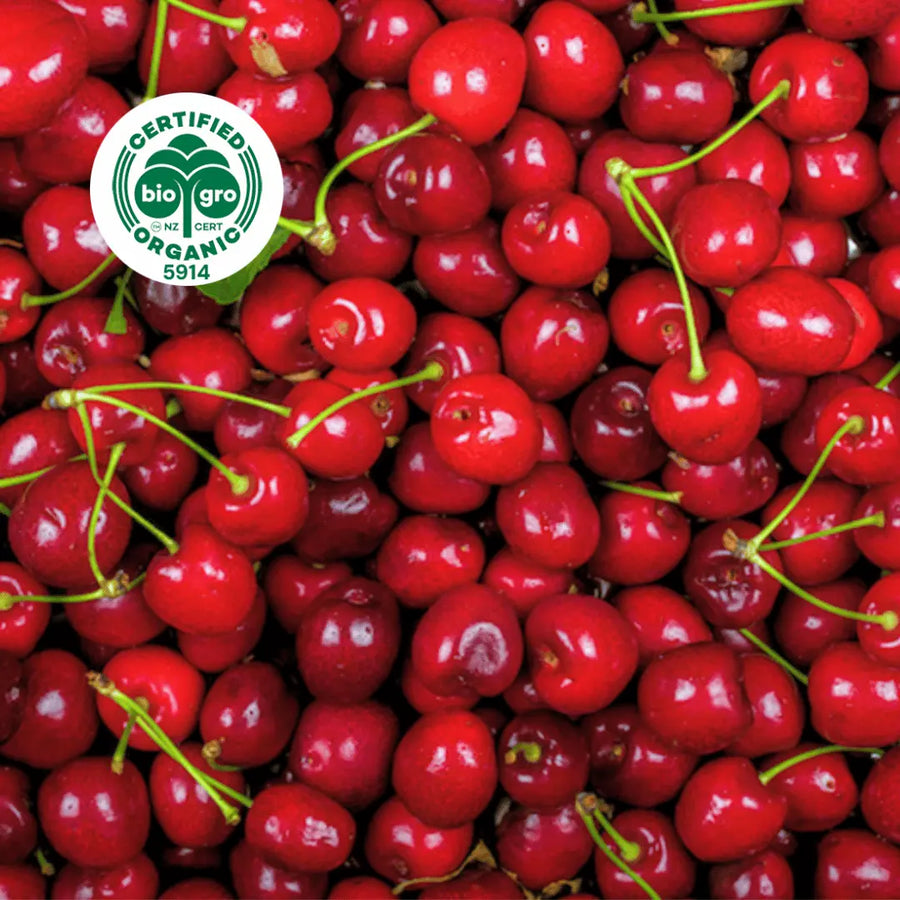 delicious ripe red cherries clustered together ready to make cherry kernel oil with bio gro Certified Organic icon to verify Go Native New Zealand's organic certification for cherry kernel carrier oil